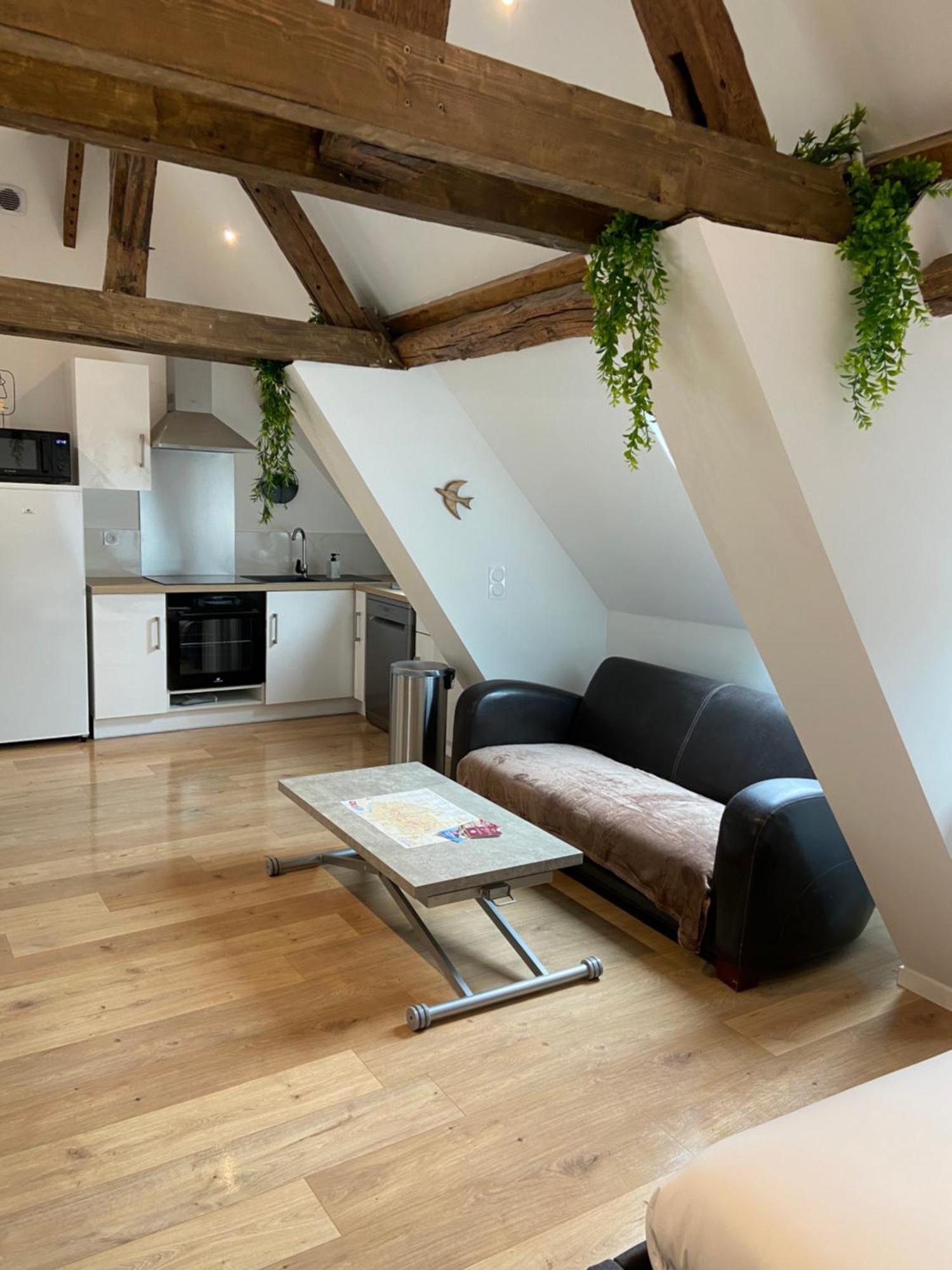 La Champenoise La Tannerie Apartment Troyes Exterior photo