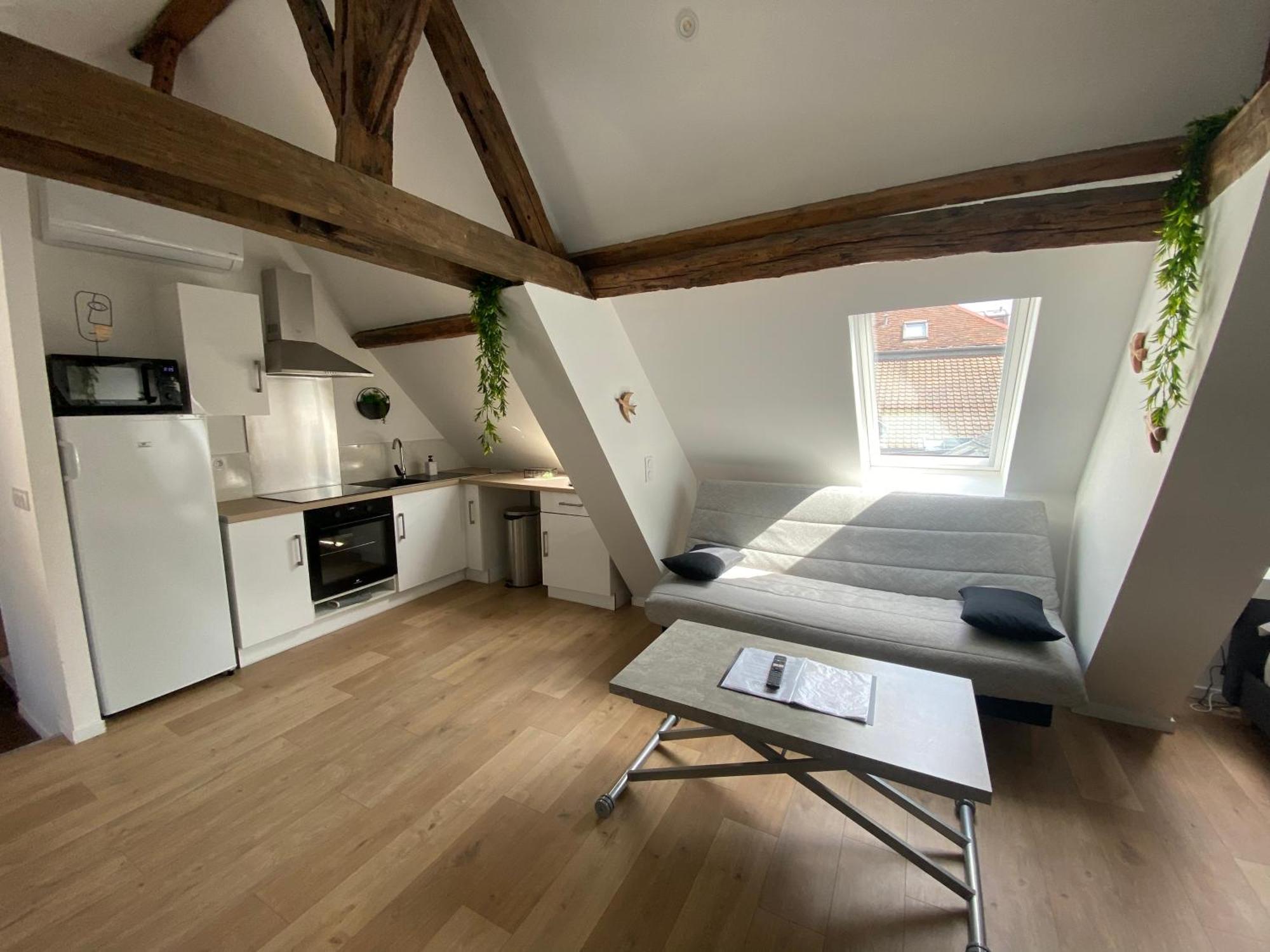 La Champenoise La Tannerie Apartment Troyes Exterior photo